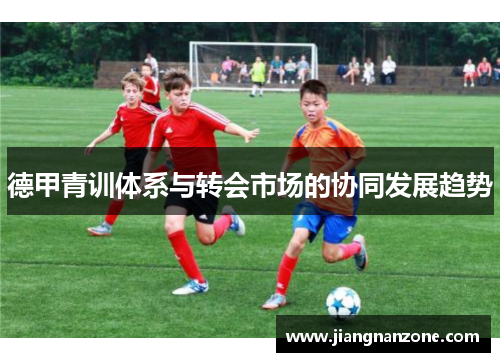 德甲青训体系与转会市场的协同发展趋势